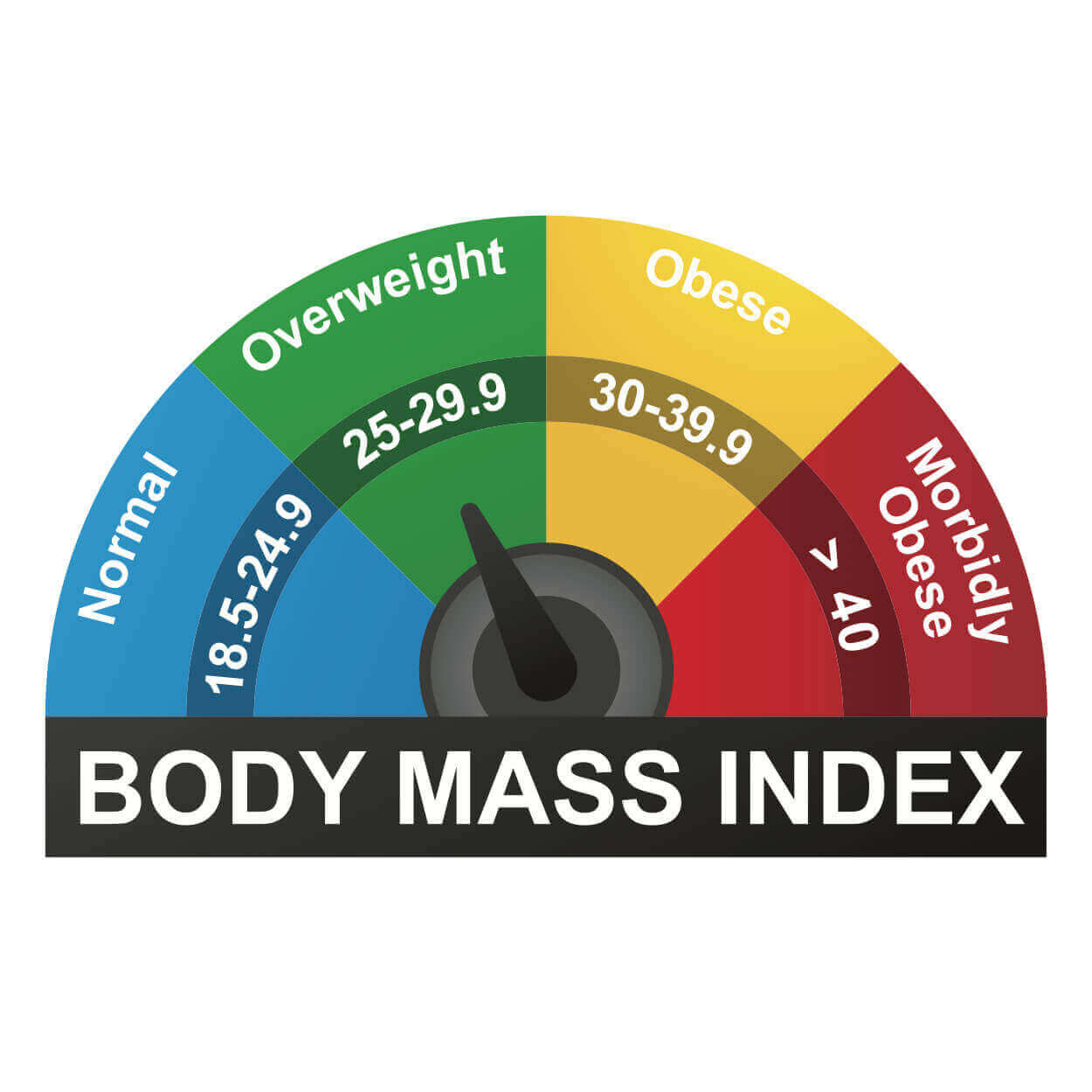 BMI Picture